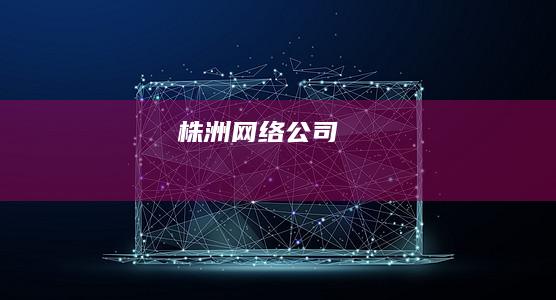 株洲网络公司