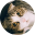 uni猫 – 臭猪宝家爱睡懒觉的臭猪喵…