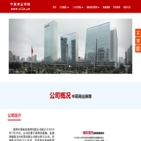 中募商业保理-深圳中募商业保理有限公司