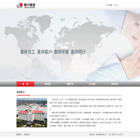顿力集团有限公司