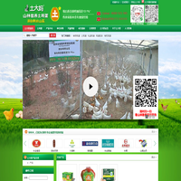 山林散养土鸡蛋|非笼养鸡蛋|土鸡蛋|谷物蛋|高营养可生食鸡蛋-土大妈山林散养土鸡蛋官网