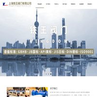 铁王阀门-上海铁王阀门有限公司