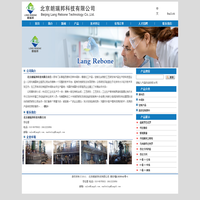 北京朗瑞邦科技有限公司
