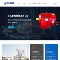 山东泰力达电机有限公司【官方网站】