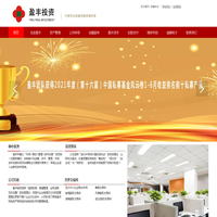 湖南盈丰投资管理有限公司