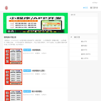 软件定制-开发公司 - APP,微信小程序,网站建设,公众号搭建